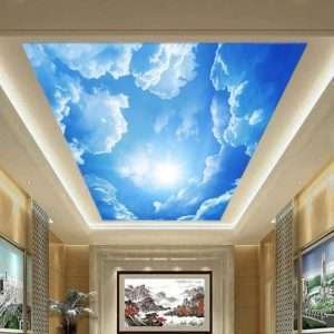 Ceiling Mural Wallpaper IMG-2213